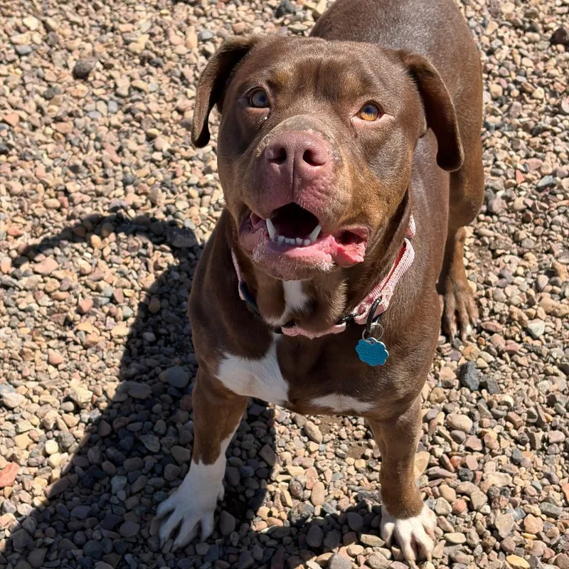 Mary Jane thumbnail 3