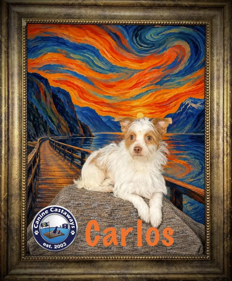 Carlos thumbnail 4