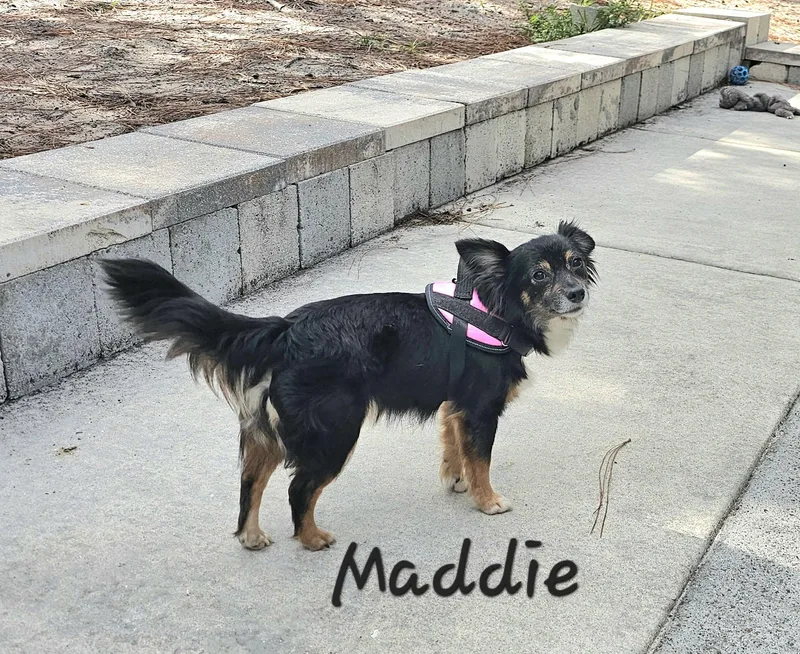 Maddie thumbnail 5