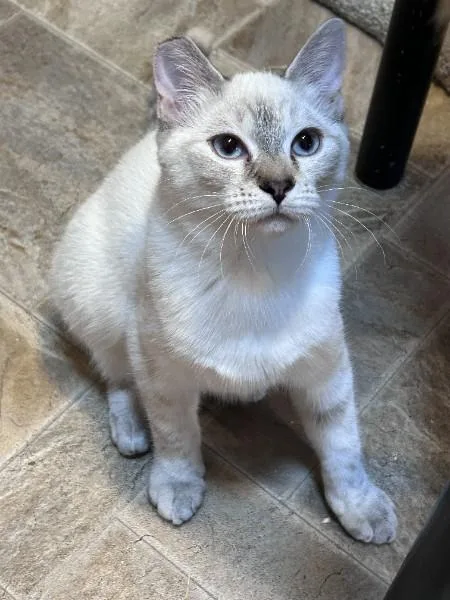 Mia thumbnail 3