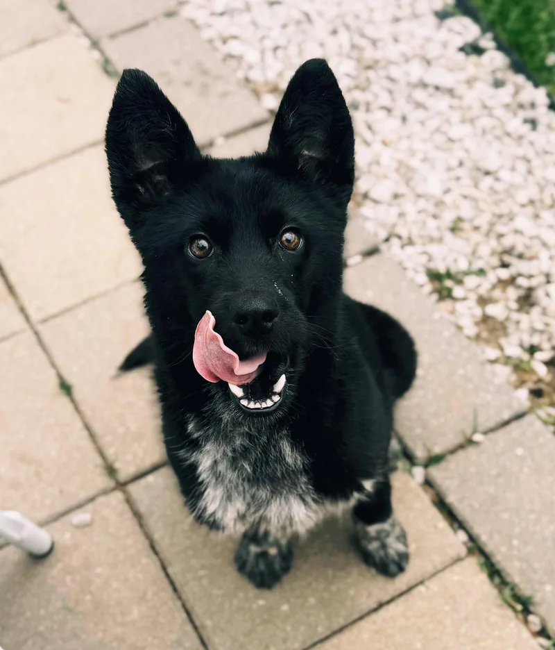Khaos