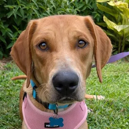 Thelma Jean thumbnail 2