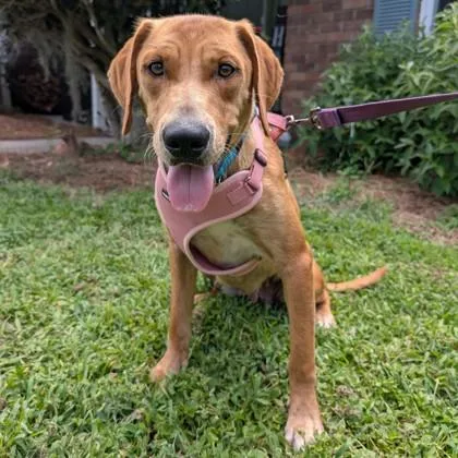 Thelma Jean thumbnail 4