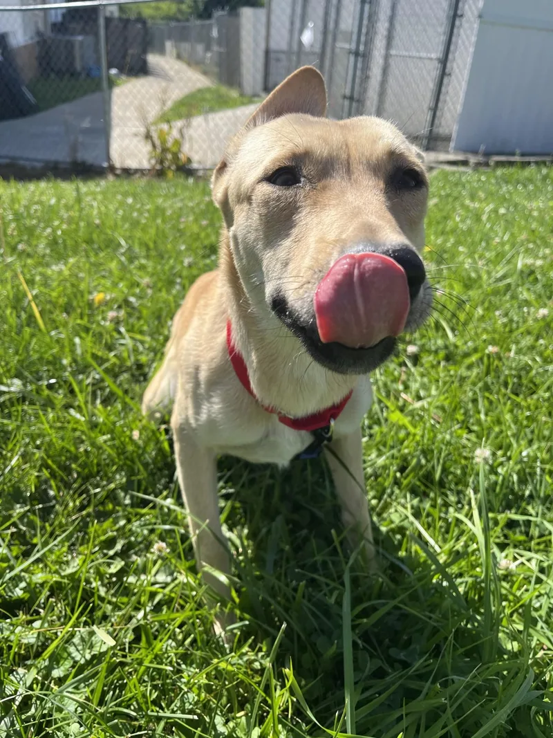 Doris