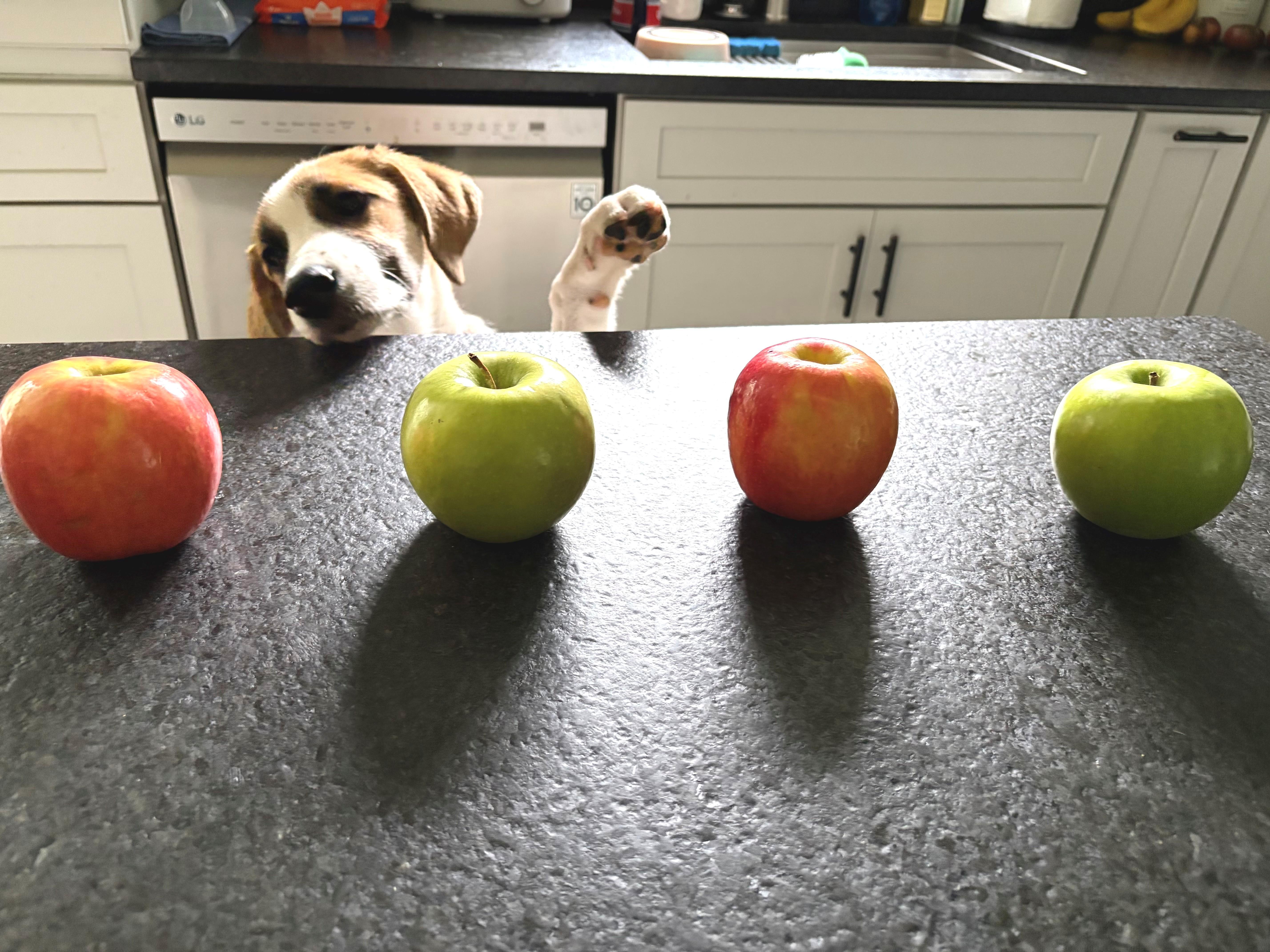 Apple Armstrong  Local thumbnail 5
