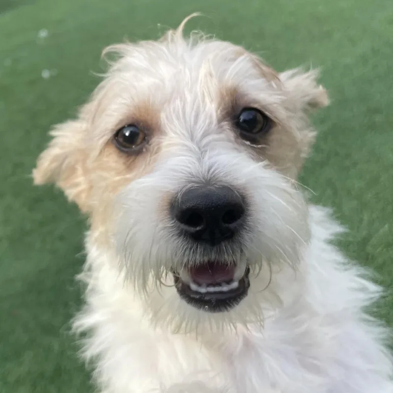 James Brown thumbnail 2