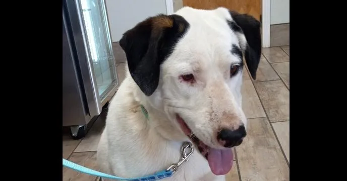 Maddy's Nero thumbnail 2