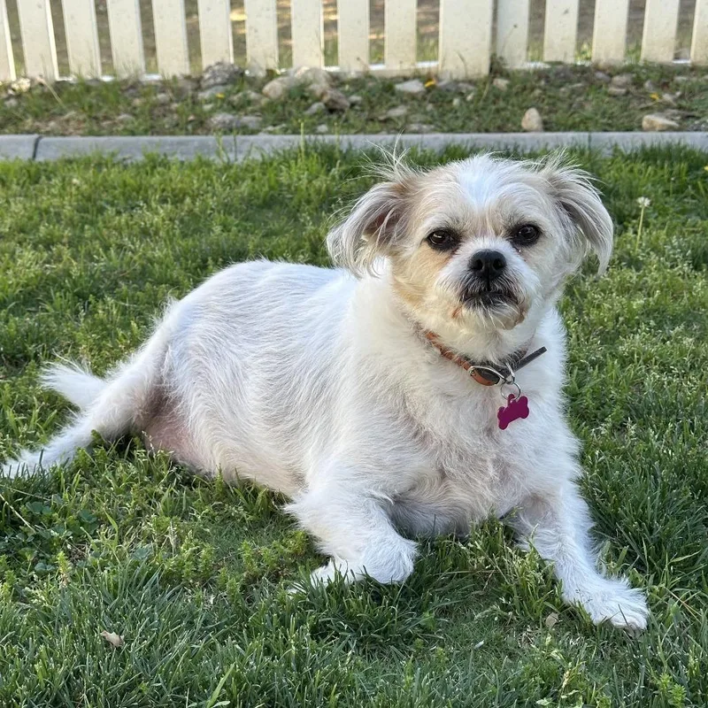 Marlie thumbnail 5