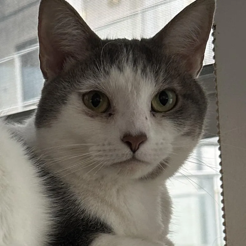 Lucy Loo thumbnail 2