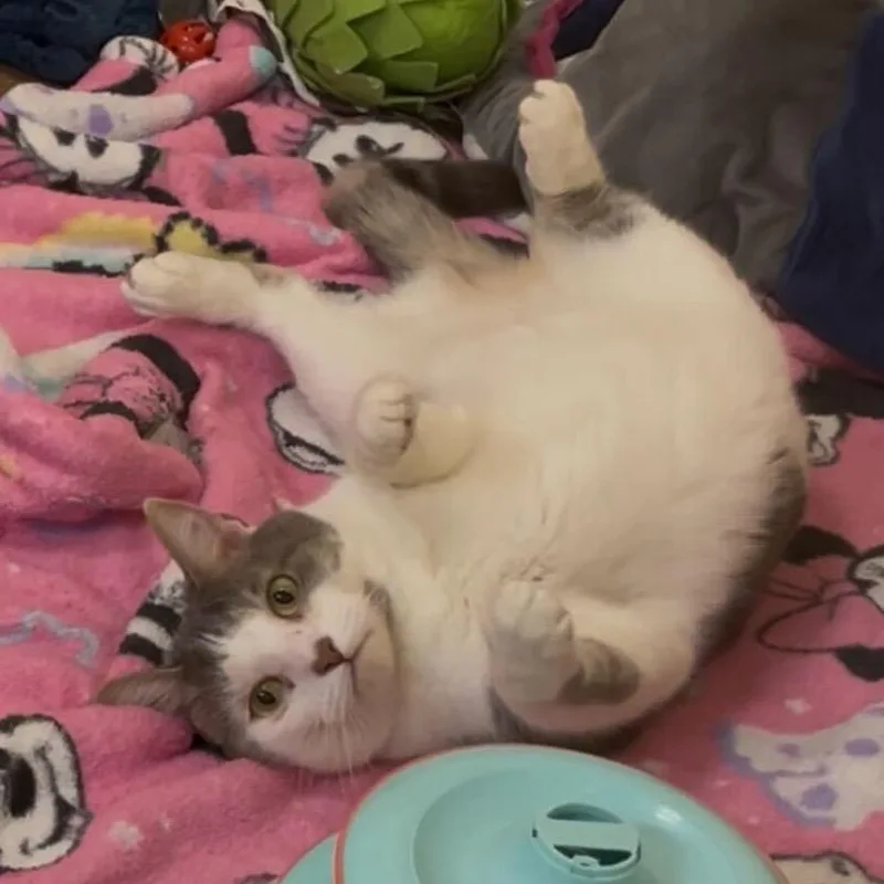 Lucy Loo thumbnail 3