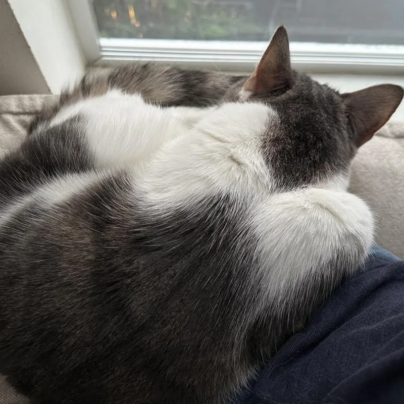 Lucy Loo thumbnail 5