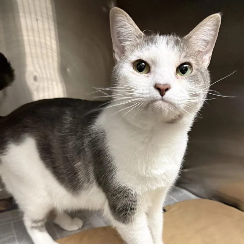 Lucy Loo thumbnail 6