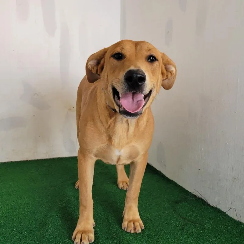 Hennessy thumbnail 2