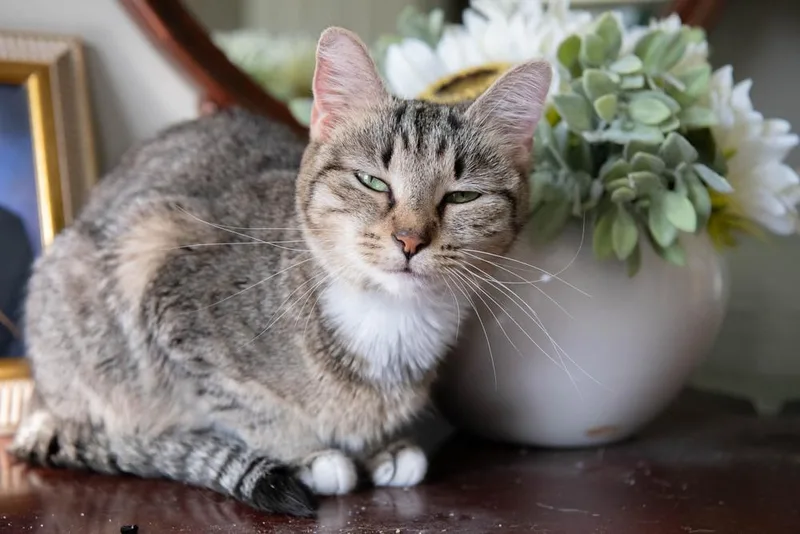 Lil Bits thumbnail 3