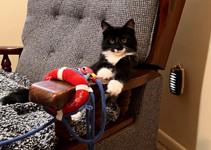 Athena & Xena thumbnail 3