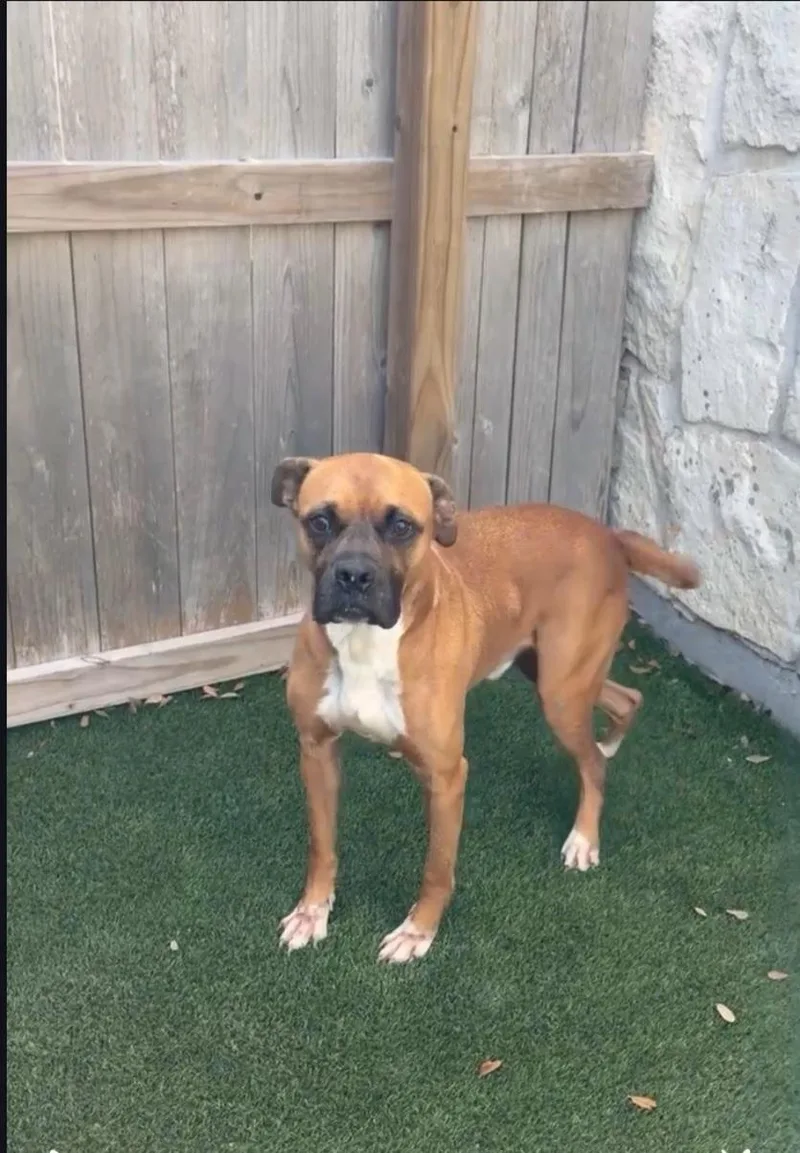 Maxx E Muss thumbnail 2