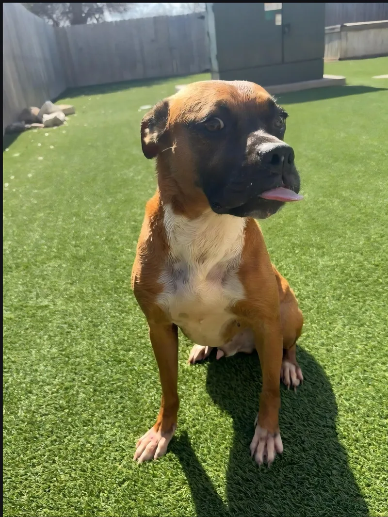 Maxx E Muss thumbnail 4