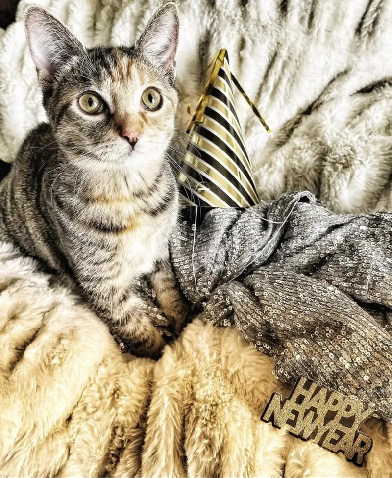 Maggie thumbnail 2