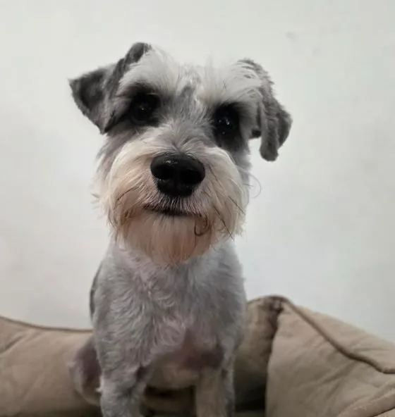 Murphy thumbnail 2