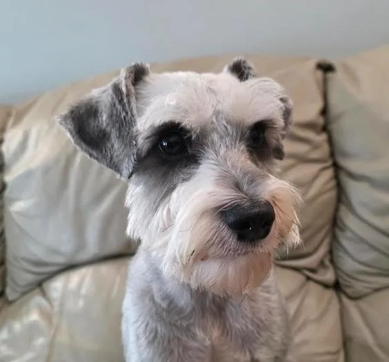 Murphy thumbnail 4