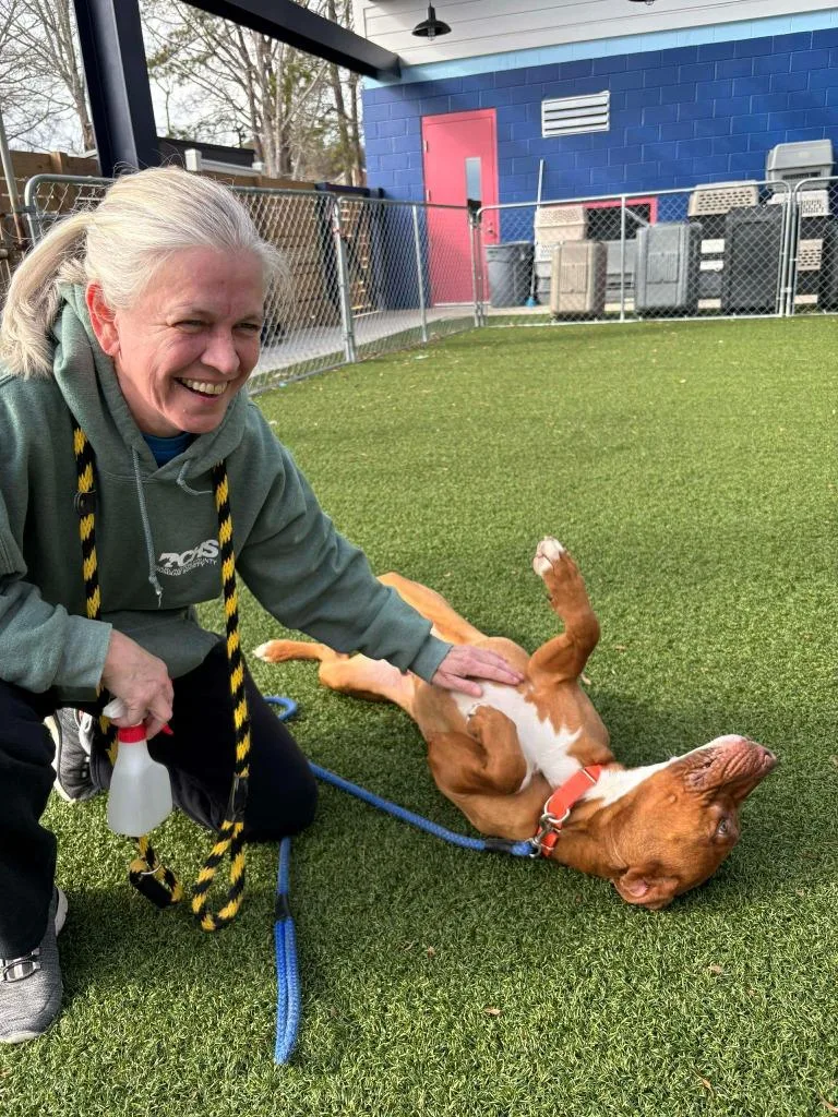 Napoleon thumbnail 3