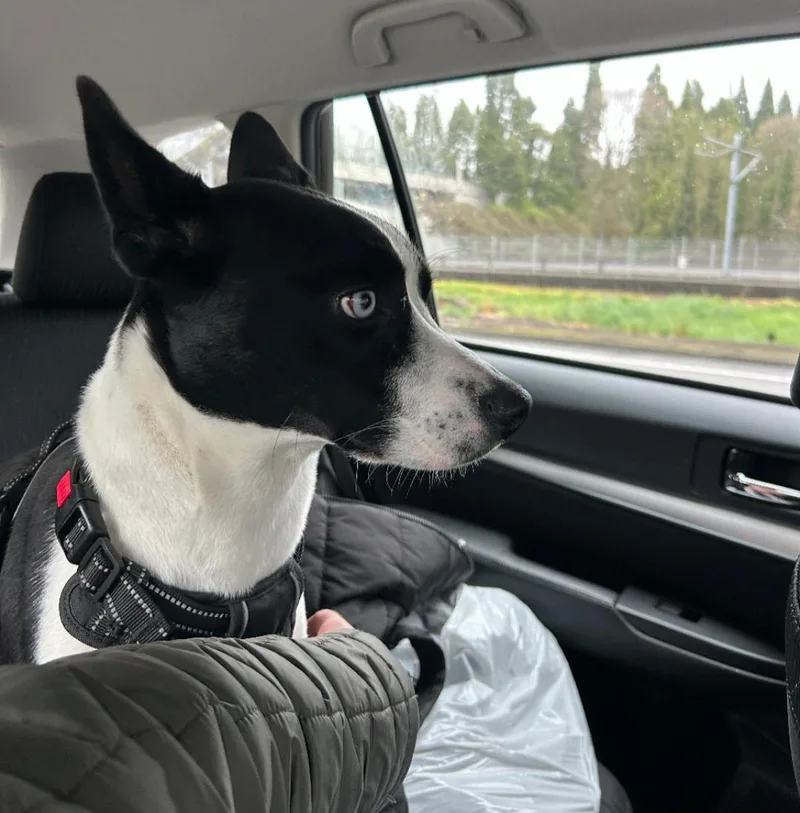 Courtesy Listing Grace thumbnail 2