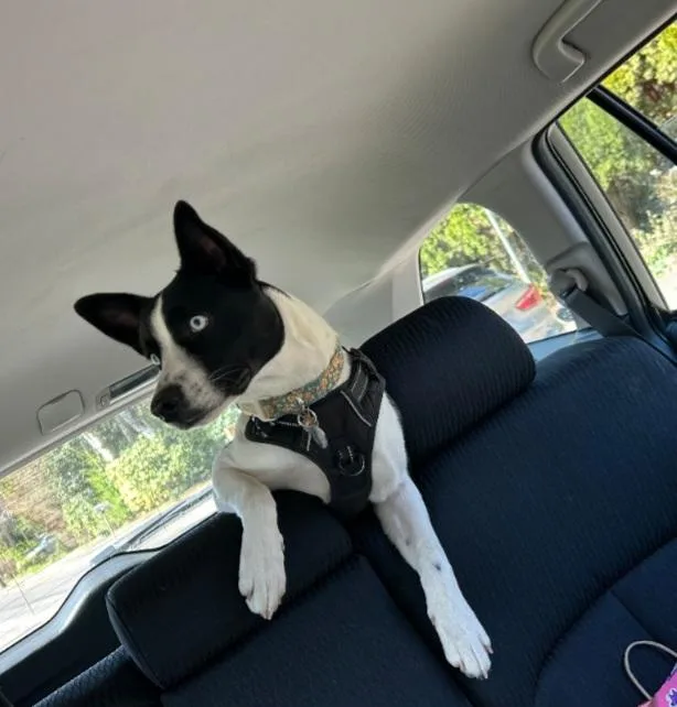 Courtesy Listing Grace