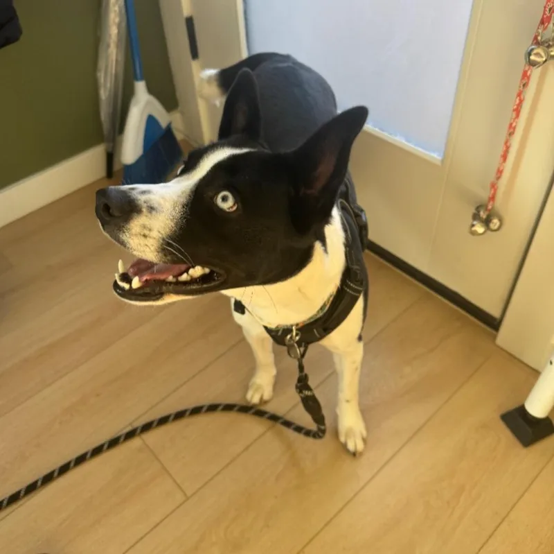 Courtesy Listing Grace thumbnail 3