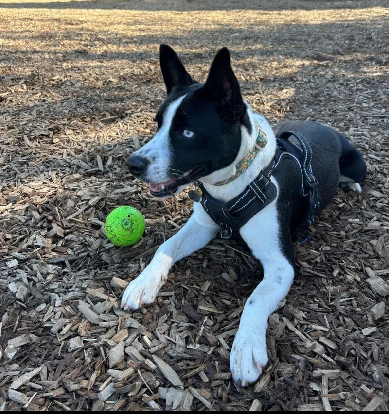 Courtesy Listing Grace thumbnail 4