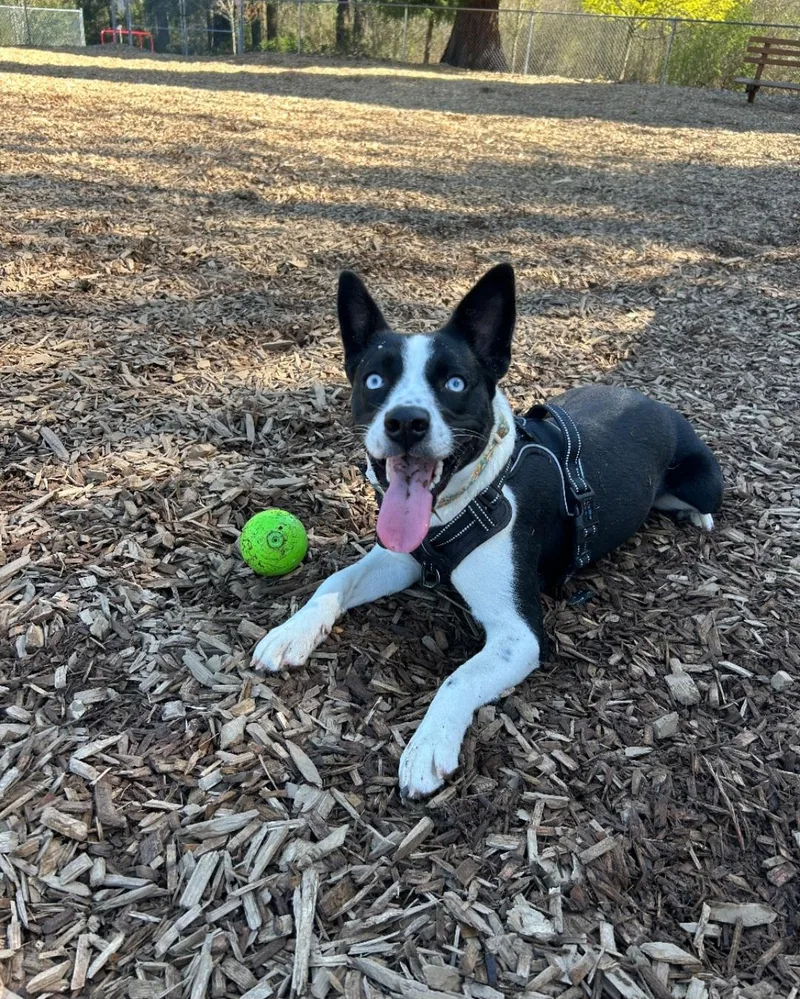 Courtesy Listing Grace thumbnail 5