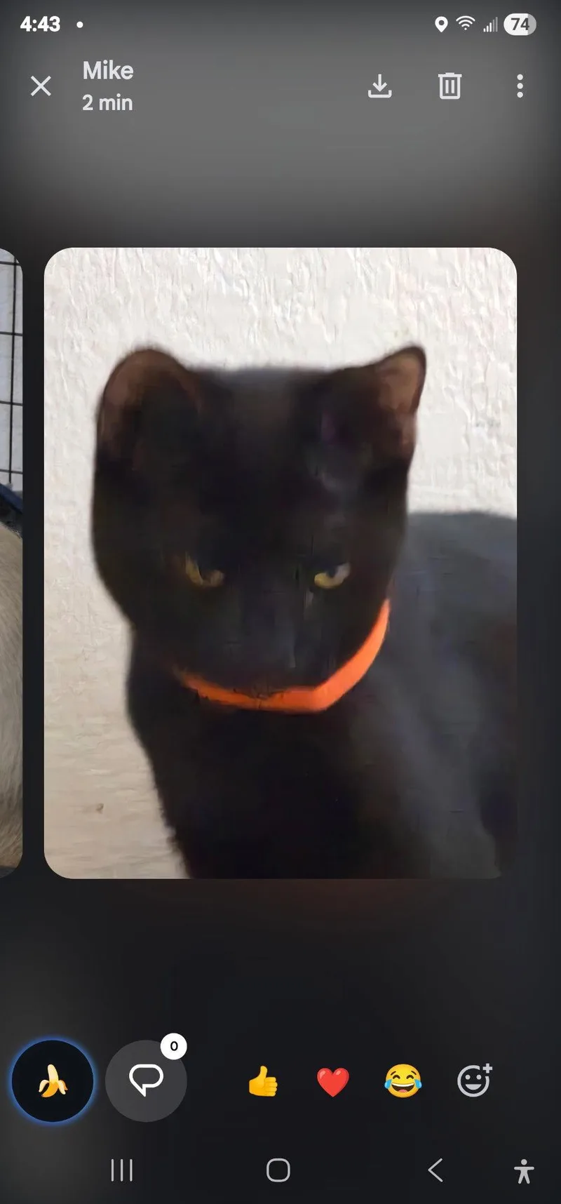 Onyx