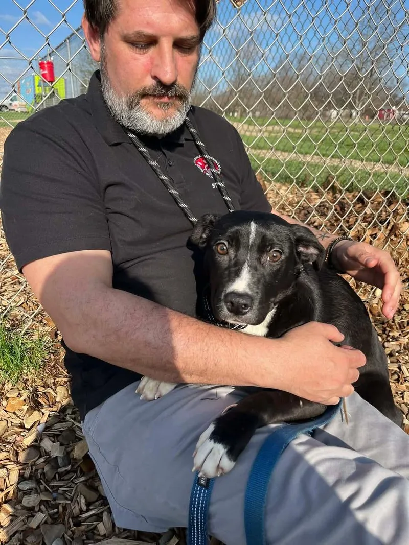 Wonton Soup thumbnail 3