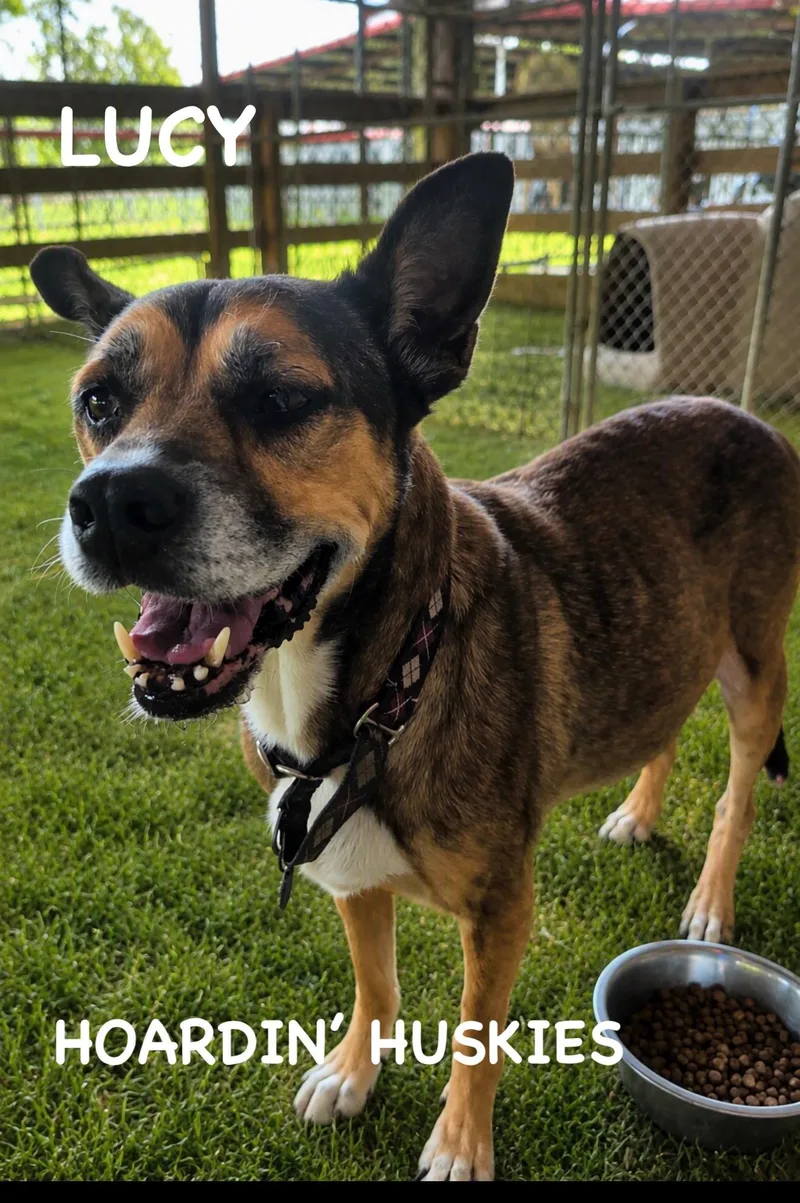 Lucy