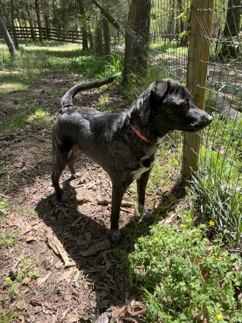 Montana  Ga thumbnail 2