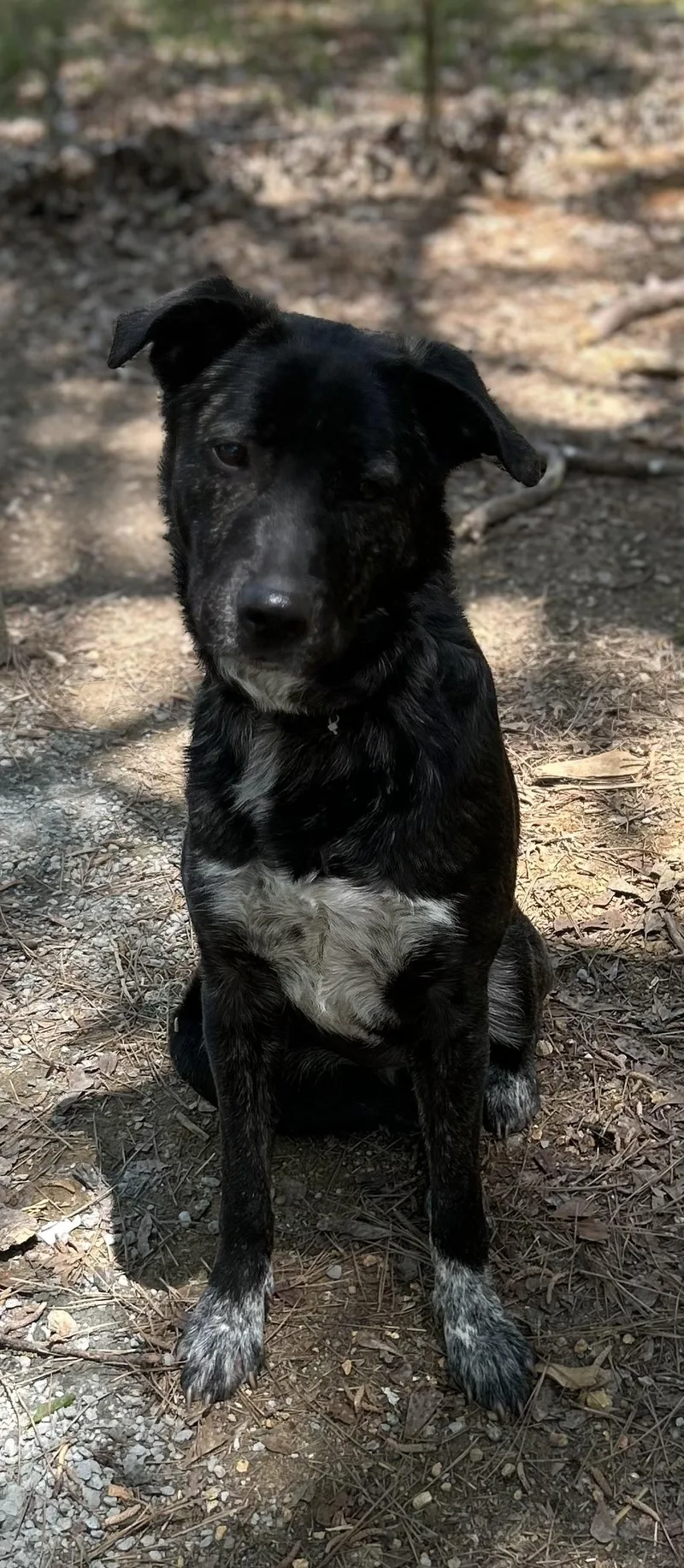 Montana  Ga thumbnail 3