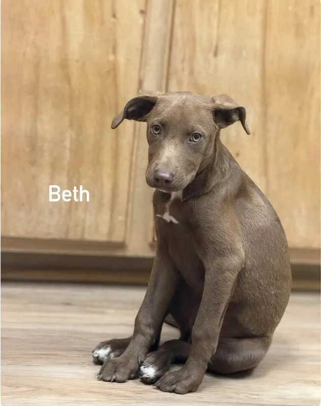 Beth thumbnail 3