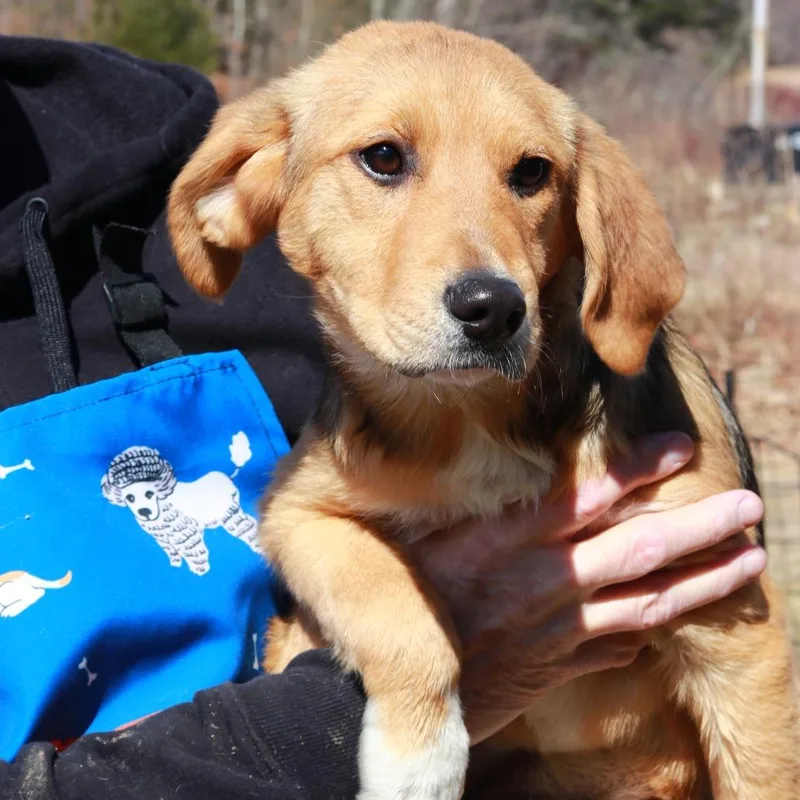 Ct Fiona thumbnail 2