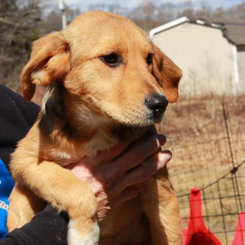 Ct Fiona thumbnail 3