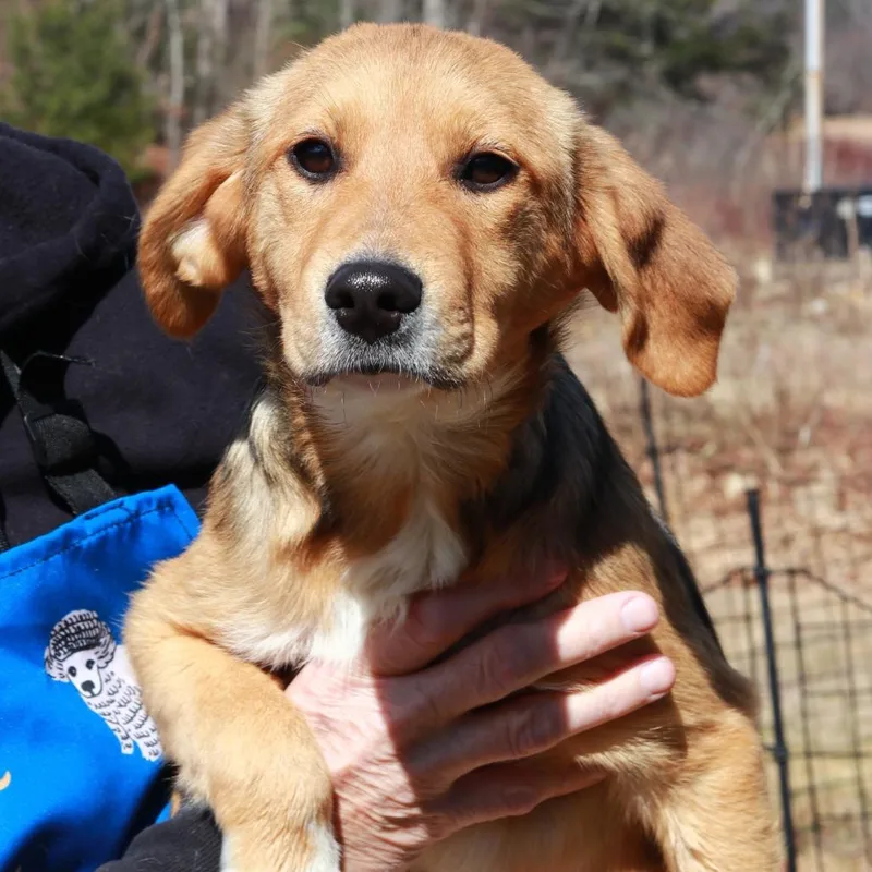 Ct Fiona thumbnail 5