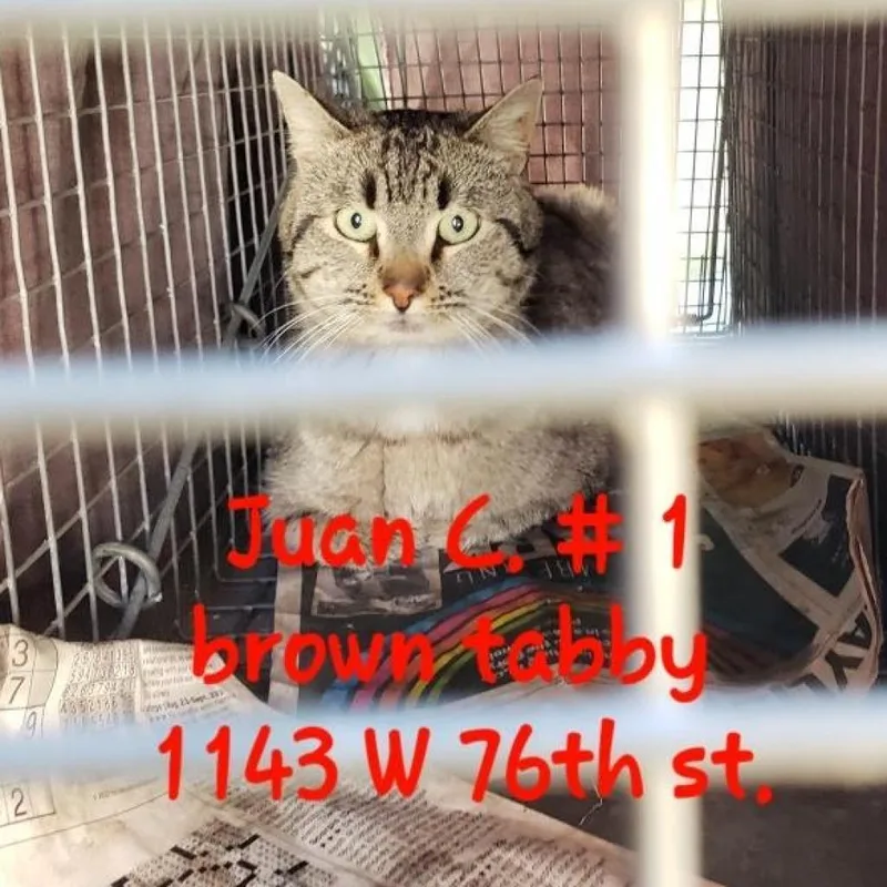 Obijuan Kenobi thumbnail 2