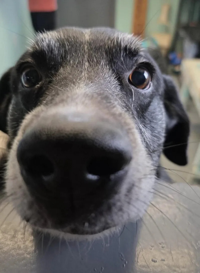 Charlie  Your Forever thumbnail 3