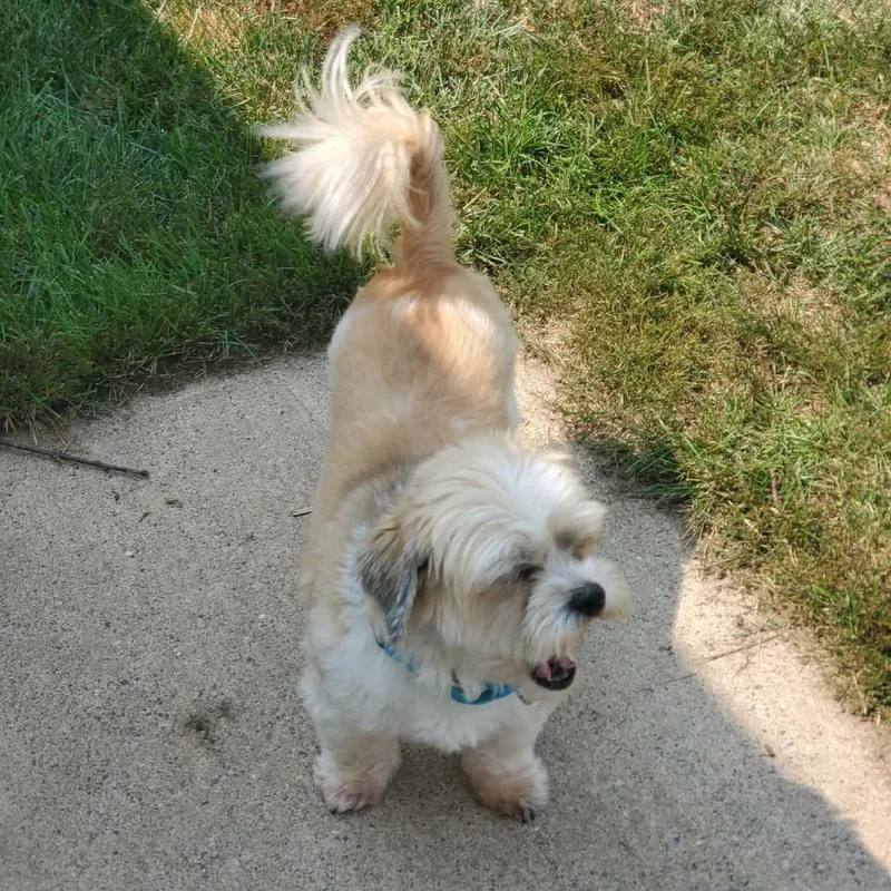 Bella