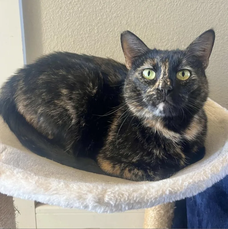 Lady Mae thumbnail 6