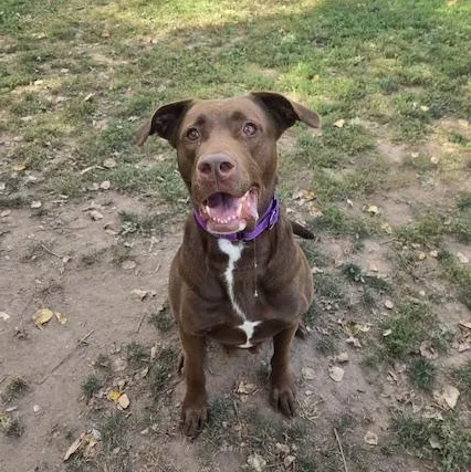 Gretchen thumbnail 2