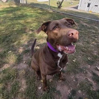 Gretchen thumbnail 5