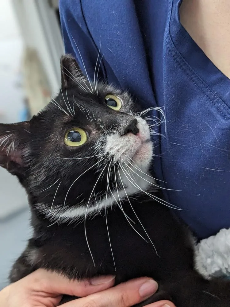 Fiona thumbnail 2