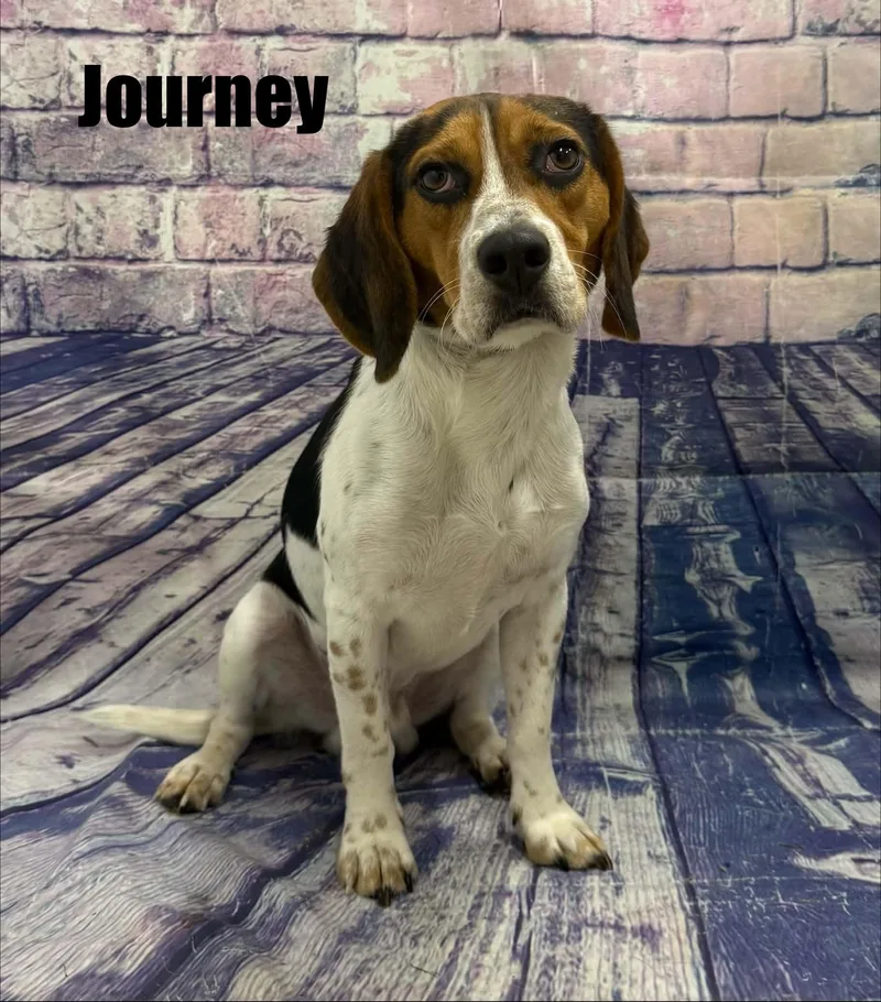 Journey thumbnail 2