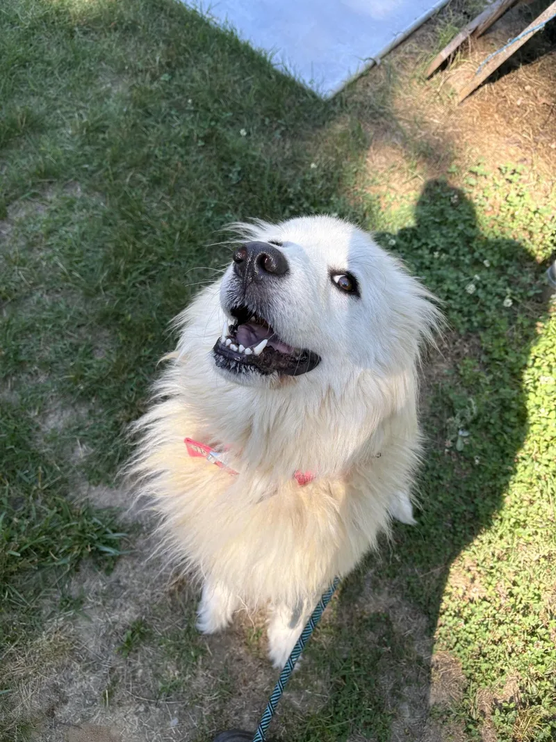 Sabrina thumbnail 2