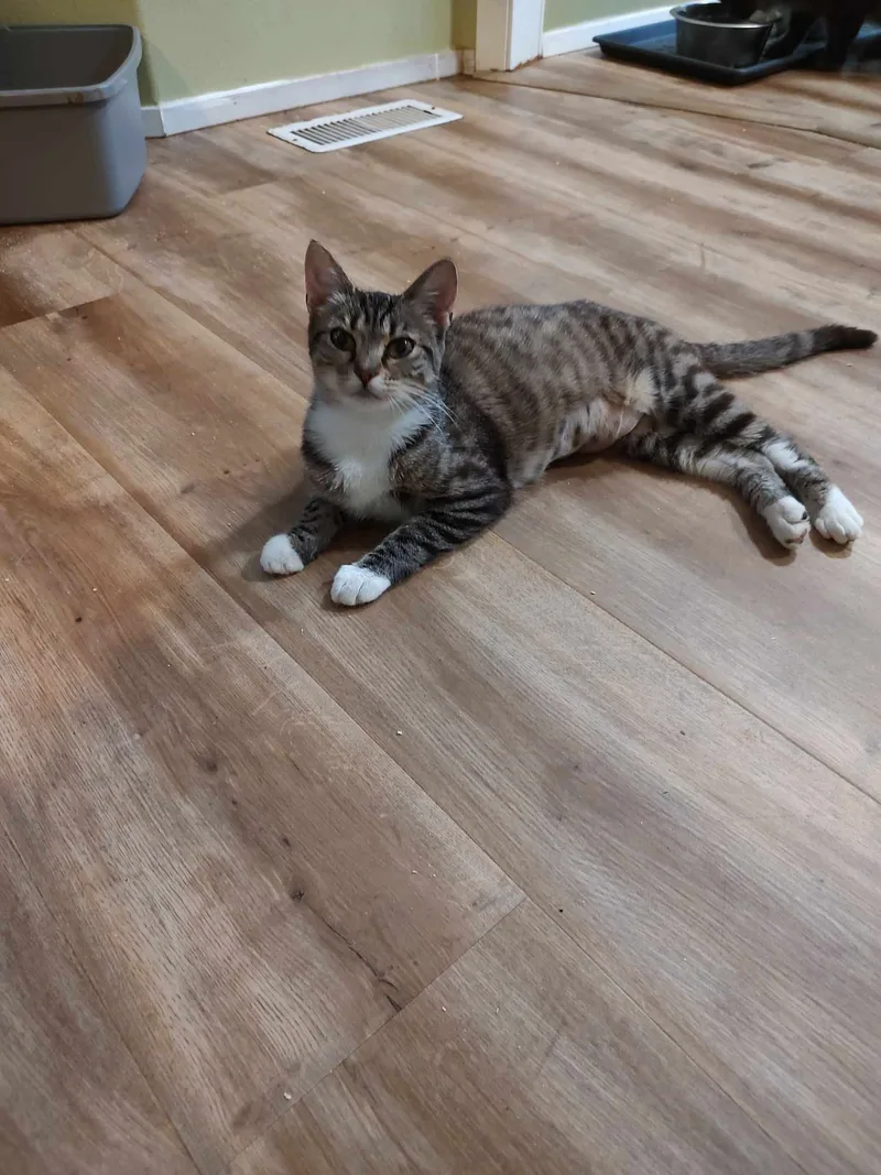 Lindy And Merry thumbnail 2