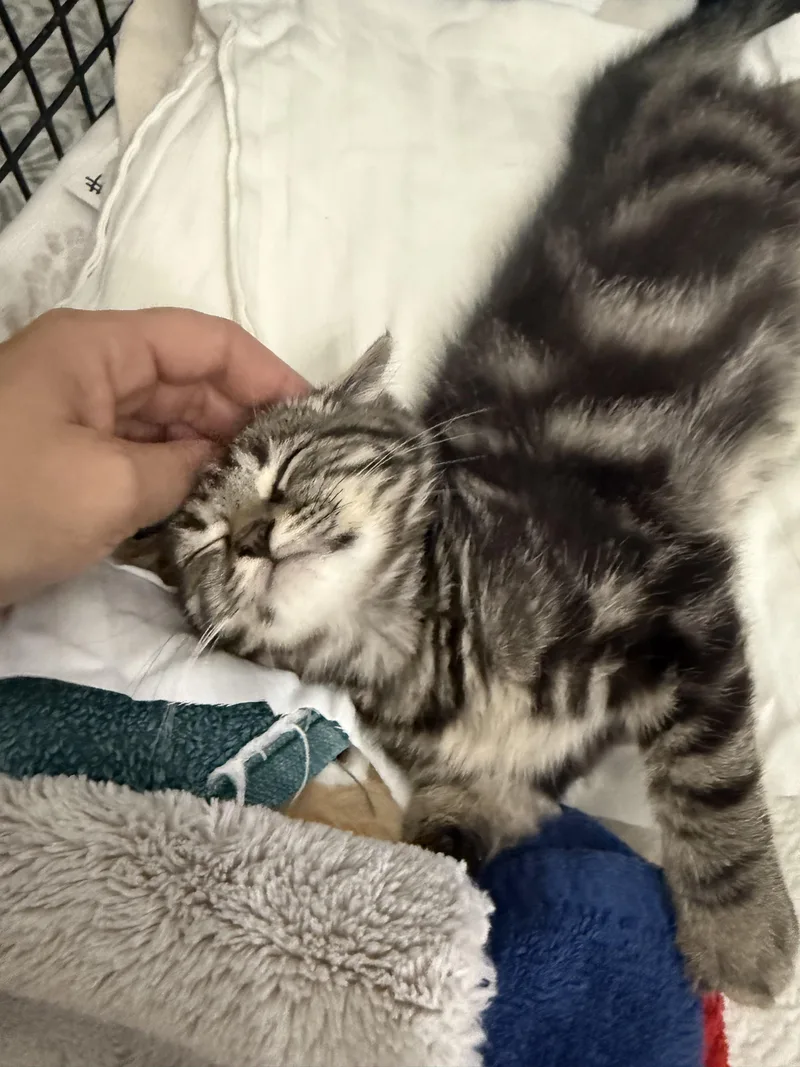 Sebastian & Beanie thumbnail 3